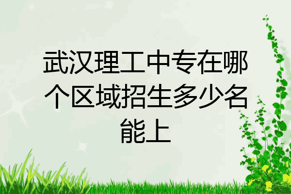 武汉理工中专在哪个区域招生多少名能上