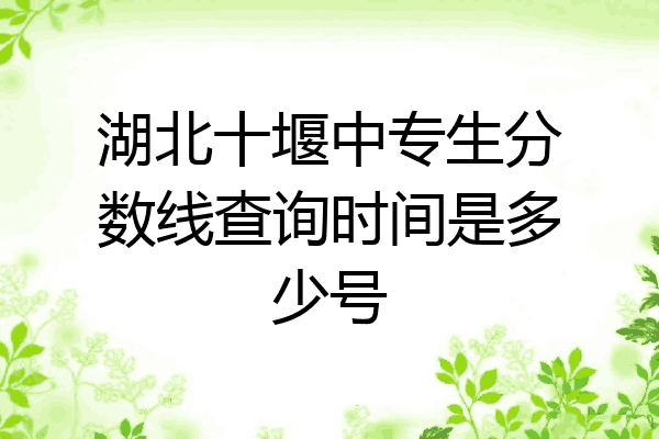 湖北十堰中专生分数线查询时间是多少号