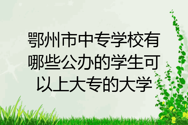鄂州市中专学校有哪些公办的学生可以上大专的大学