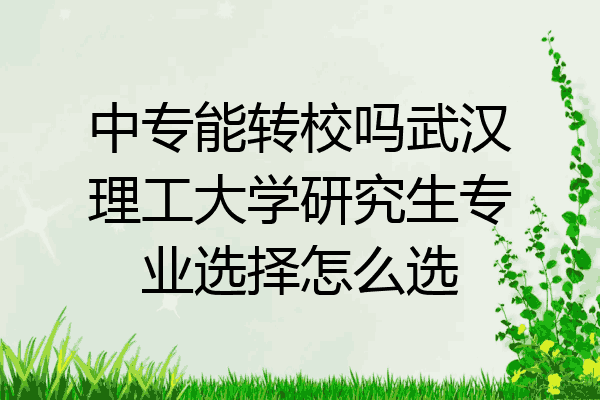 中专能转校吗武汉理工大学研究生专业选择怎么选