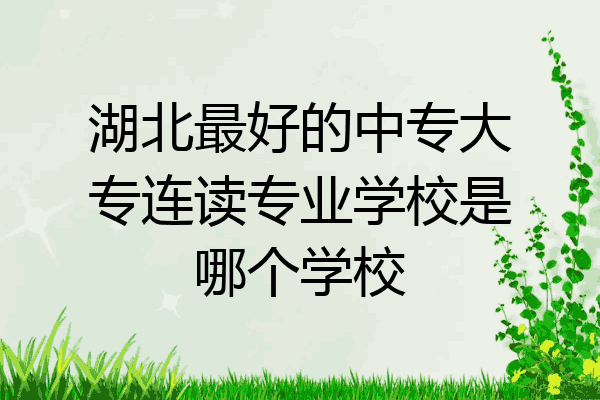 湖北最好的中专大专连读专业学校是哪个学校