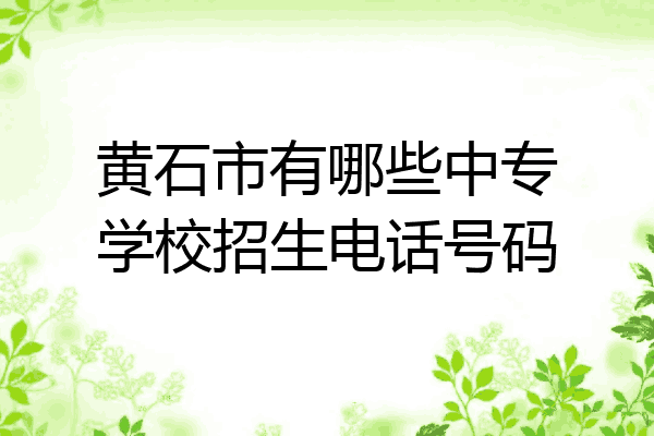 黄石市有哪些中专学校招生电话号码