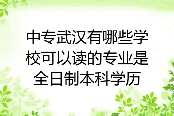 中专武汉有哪些学校可以读的专业是全日制本科学历