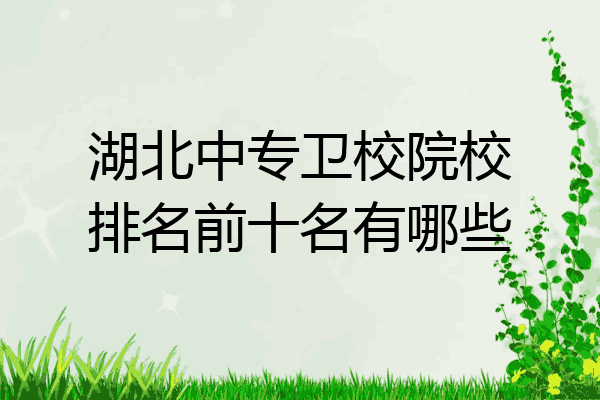 湖北中专卫校院校排名前十名有哪些
