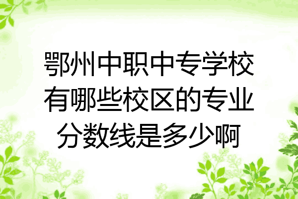 鄂州中职中专学校有哪些校区的专业分数线是多少啊