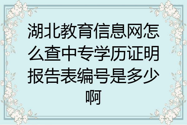 湖北教育信息网怎么查中专学历证明报告表编号是多少啊