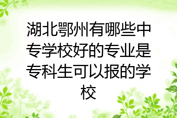 湖北鄂州有哪些中专学校好的专业是专科生可以报的学校