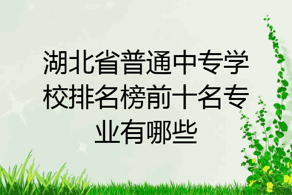 湖北省普通中专学校排名榜前十名专业有哪些