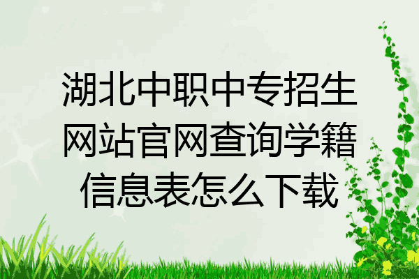 湖北中职中专招生网站官网查询学籍信息表怎么下载