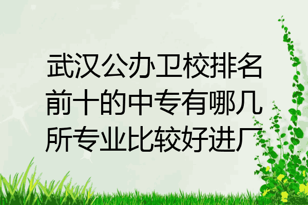 武汉公办卫校排名前十的中专有哪几所专业比较好进厂