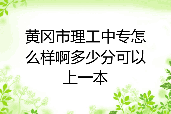 黄冈市理工中专怎么样啊多少分可以上一本