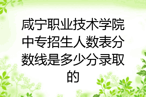 咸宁职业技术学院中专招生人数表分数线是多少分录取的
