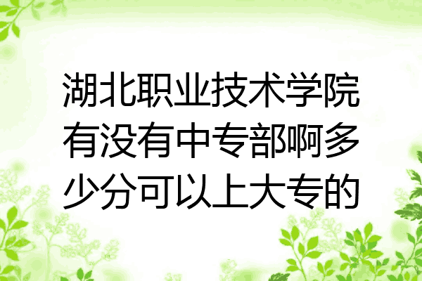 湖北职业技术学院有没有中专部啊多少分可以上大专的