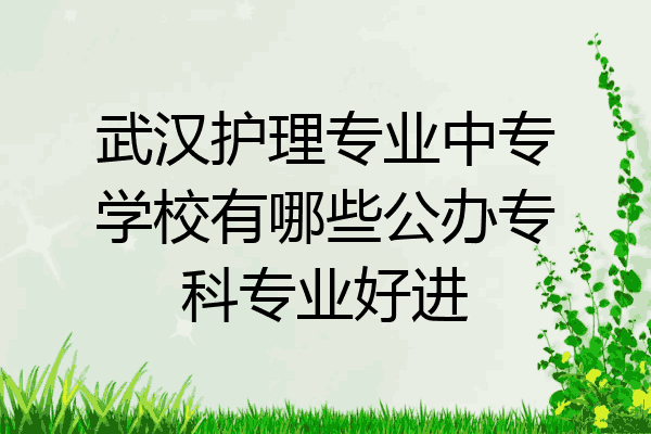 武汉护理专业中专学校有哪些公办专科专业好进