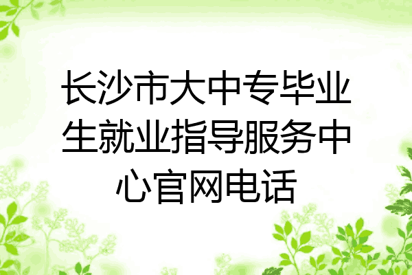 长沙市大中专毕业生就业指导服务中心官网电话