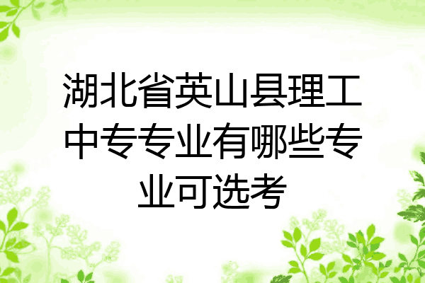 湖北省英山县理工中专专业有哪些专业可选考