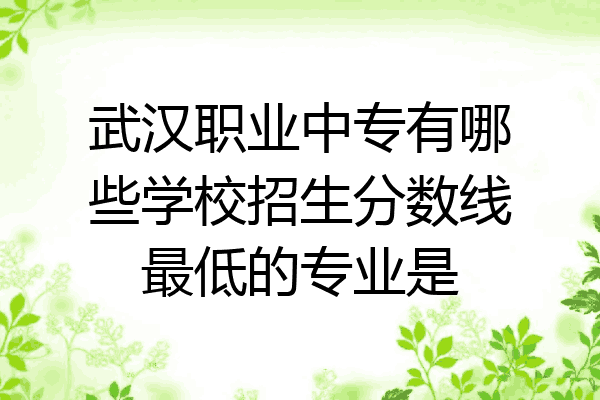 武汉职业中专有哪些学校招生分数线最低的专业是