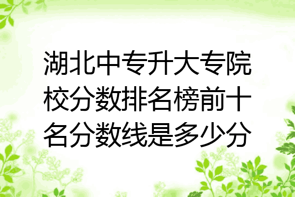 湖北中专升大专院校分数排名榜前十名分数线是多少分