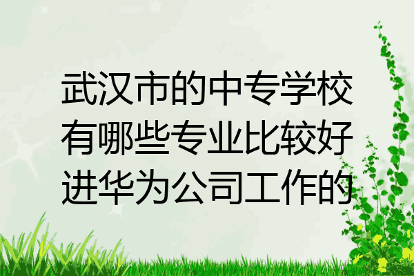 武汉市的中专学校有哪些专业比较好进华为公司工作的