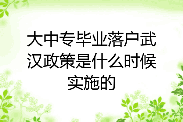 大中专毕业落户武汉政策是什么时候实施的