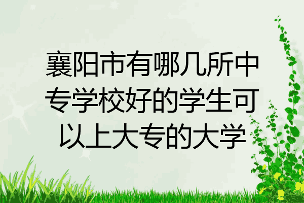 襄阳市有哪几所中专学校好的学生可以上大专的大学