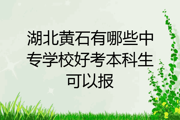 湖北黄石有哪些中专学校好考本科生可以报