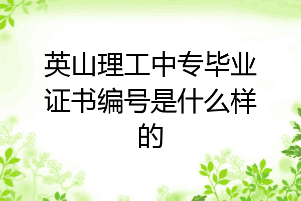 英山理工中专毕业证书编号是什么样的