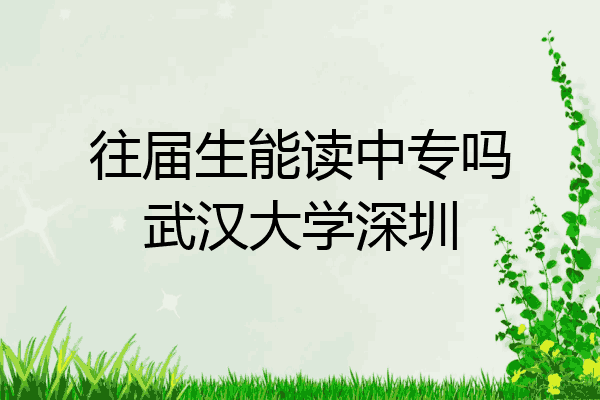 往届生能读中专吗武汉大学深圳