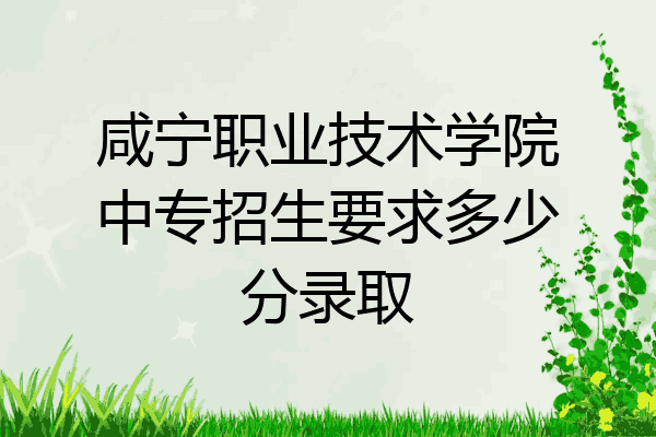 咸宁职业技术学院中专招生要求多少分录取