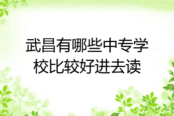 武昌有哪些中专学校比较好进去读