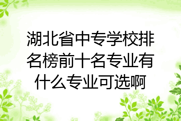 湖北省中专学校排名榜前十名专业有什么专业可选啊