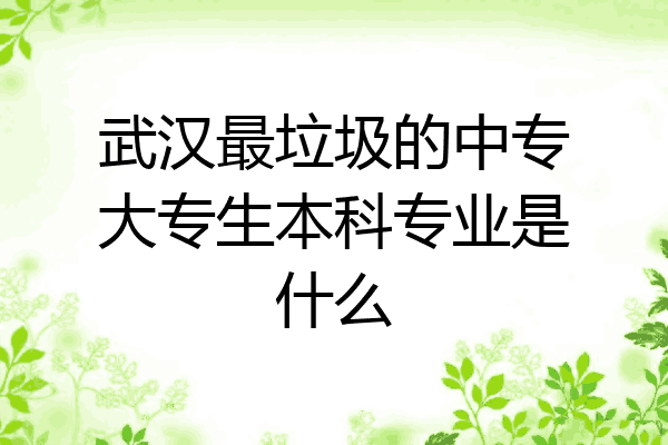 武汉最垃圾的中专大专生本科专业是什么