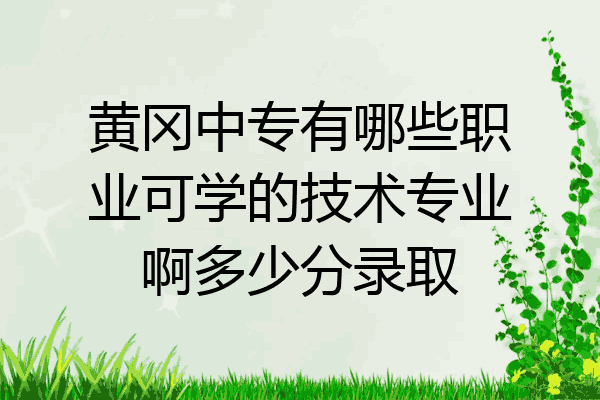 黄冈中专有哪些职业可学的技术专业啊多少分录取