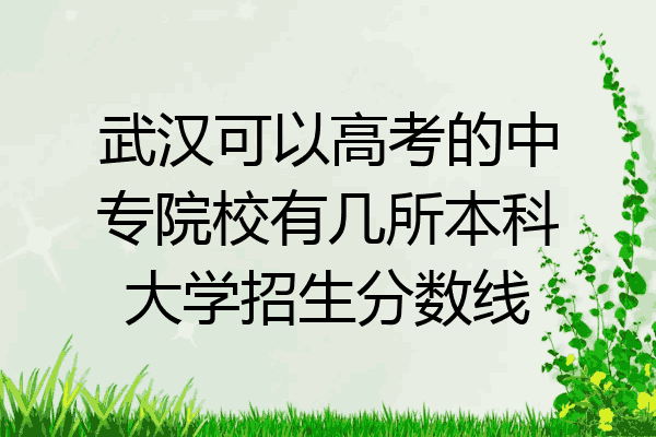 武汉可以高考的中专院校有几所本科大学招生分数线