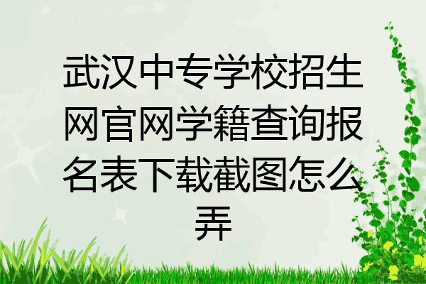 武汉中专学校招生网官网学籍查询报名表下载截图怎么弄