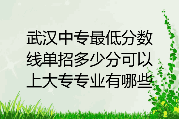 武汉中专最低分数线单招多少分可以上大专专业有哪些