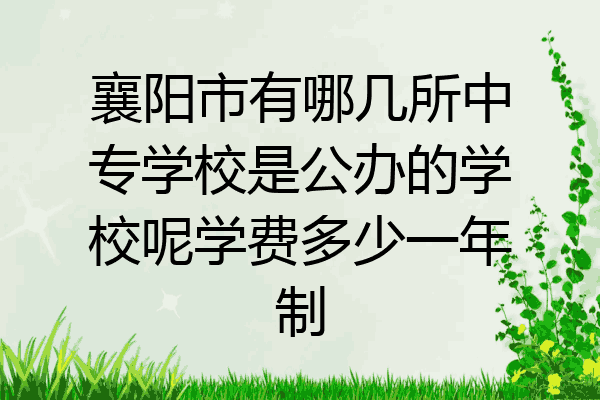 襄阳市有哪几所中专学校是公办的学校呢学费多少一年制