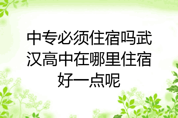 中专必须住宿吗武汉高中在哪里住宿好一点呢