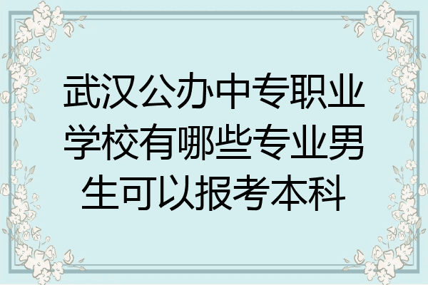 武汉公办中专职业学校有哪些专业男生可以报考本科