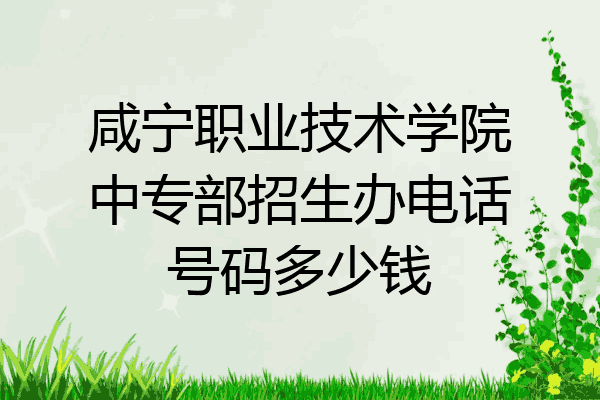 咸宁职业技术学院中专部招生办电话号码多少钱