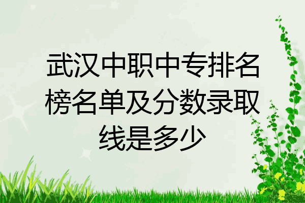 武汉中职中专排名榜名单及分数录取线是多少