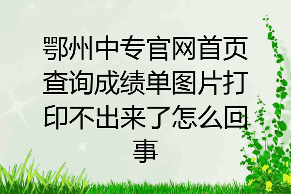鄂州中专官网首页查询成绩单图片打印不出来了怎么回事