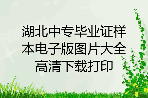 湖北中专毕业证样本电子版图片大全高清下载打印