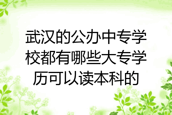 武汉的公办中专学校都有哪些大专学历可以读本科的