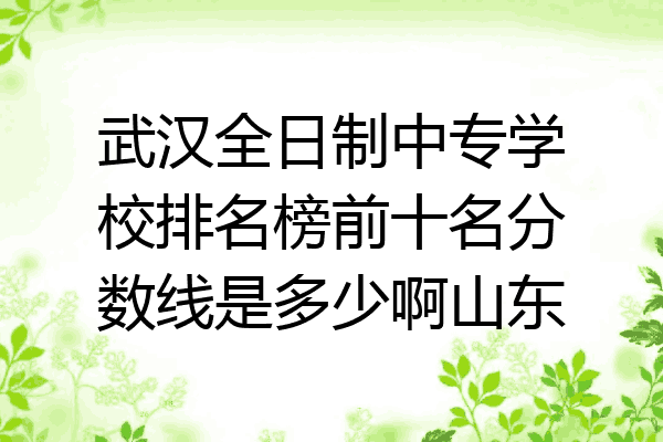 武汉全日制中专学校排名榜前十名分数线是多少啊山东