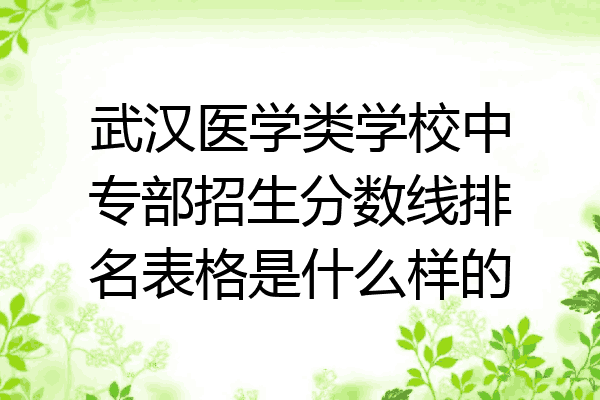 武汉医学类学校中专部招生分数线排名表格是什么样的