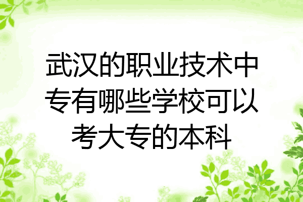 武汉的职业技术中专有哪些学校可以考大专的本科