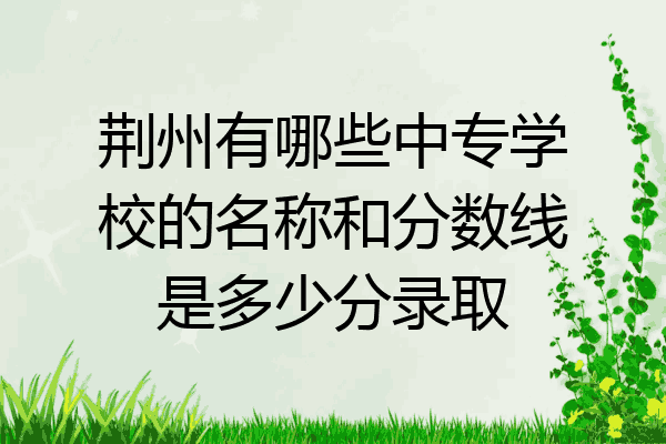 荆州有哪些中专学校的名称和分数线是多少分录取