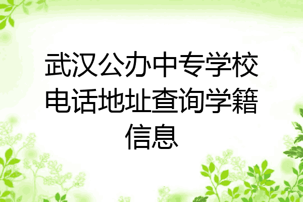 武汉公办中专学校电话地址查询学籍信息