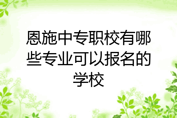 恩施中专职校有哪些专业可以报名的学校